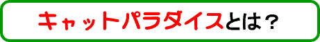 Lbgp_CXƂ́H