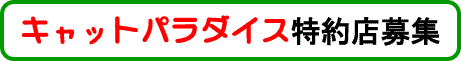 Lbgp_CXXW